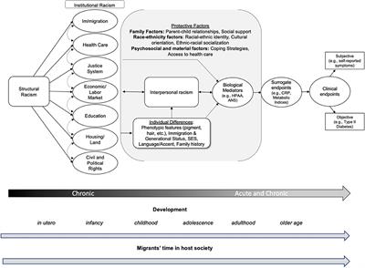 The Importance of Biobehavioral Research to Examine the Physiological Effects of Racial and Ethnic Discrimination in the Latinx Population